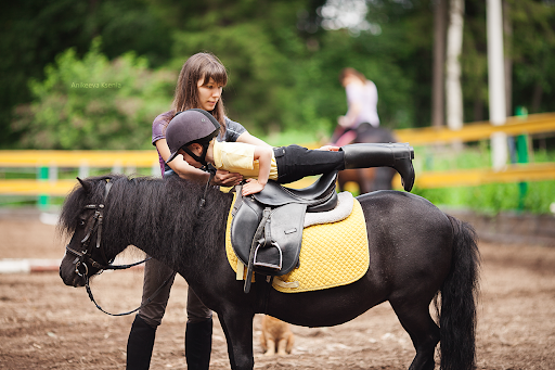 WildTales Pet Services: Your Gateway to Horse Riding Adventure and Rental